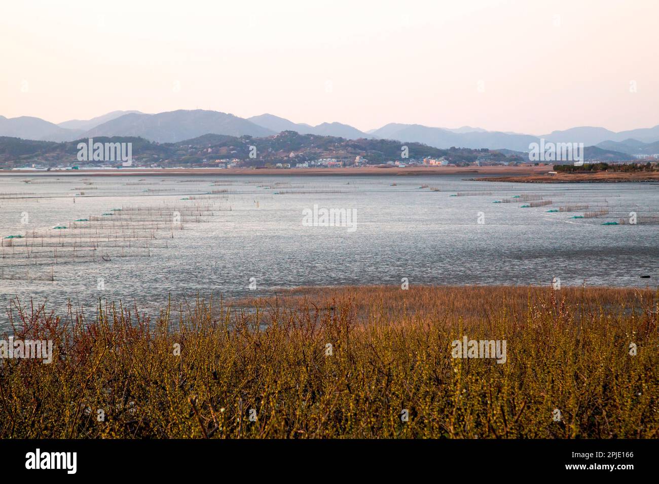 Suncheon Bay, Mar 27, 2023 Suncheon Bay, a coastal wetland in