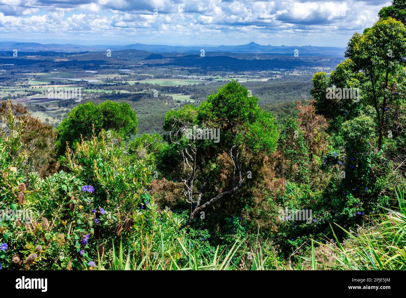 Viewing West from Rotary Lookout on Mount Tamborine Stock Photo Alamy