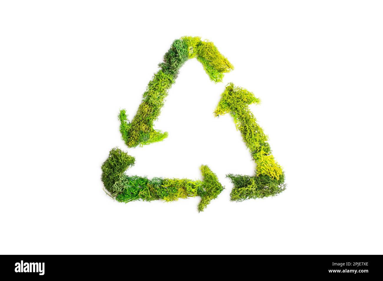 Recycle triangle logo made with green moss isolated on white background, creative concept photography Stock Photo