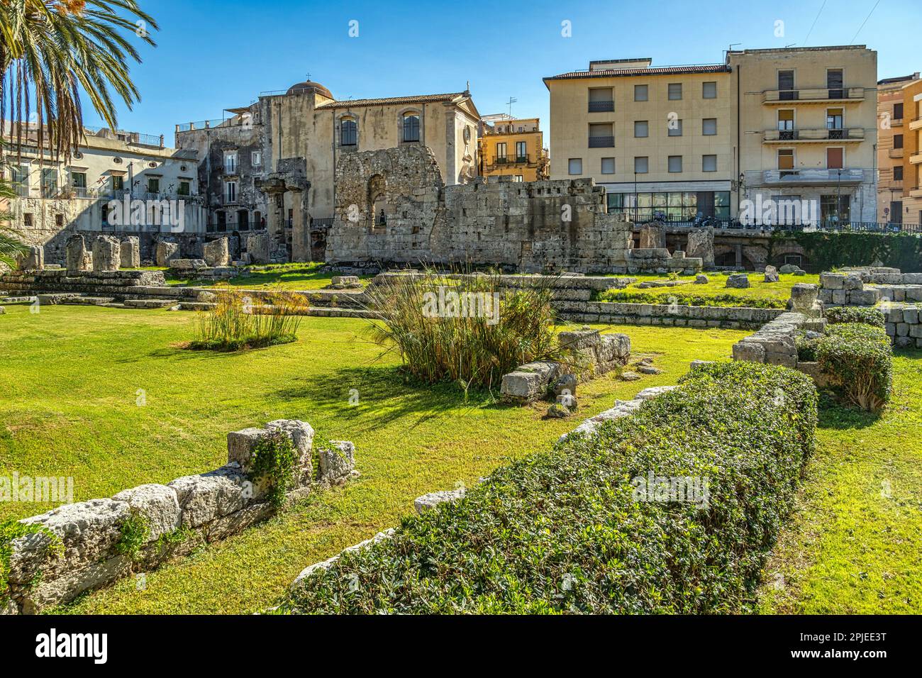 Ruins of an ancient Greek temple, Temple of Apollo (Apollonion), dating back to the 6th century BC. with adjacent garden. Syracuse, Sicily, Italy Stock Photo