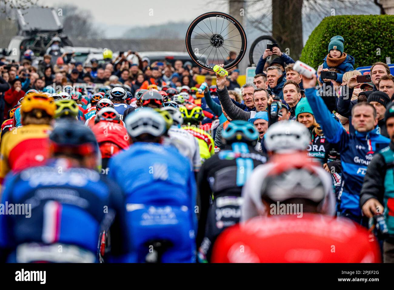Oudenaarde, Belgium. 02nd Apr, 2023. The pack of riders pictured in