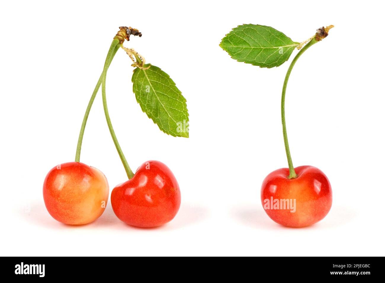 Sweet heart cherry hi-res stock photography and images - Alamy