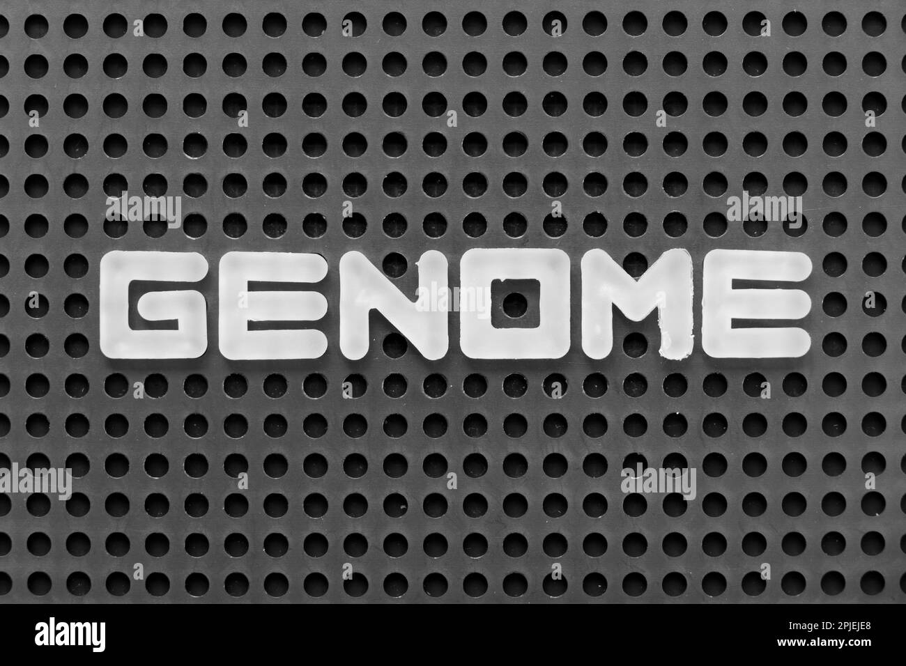 White alphabet letter in word genome on black pegboard background Stock Photo