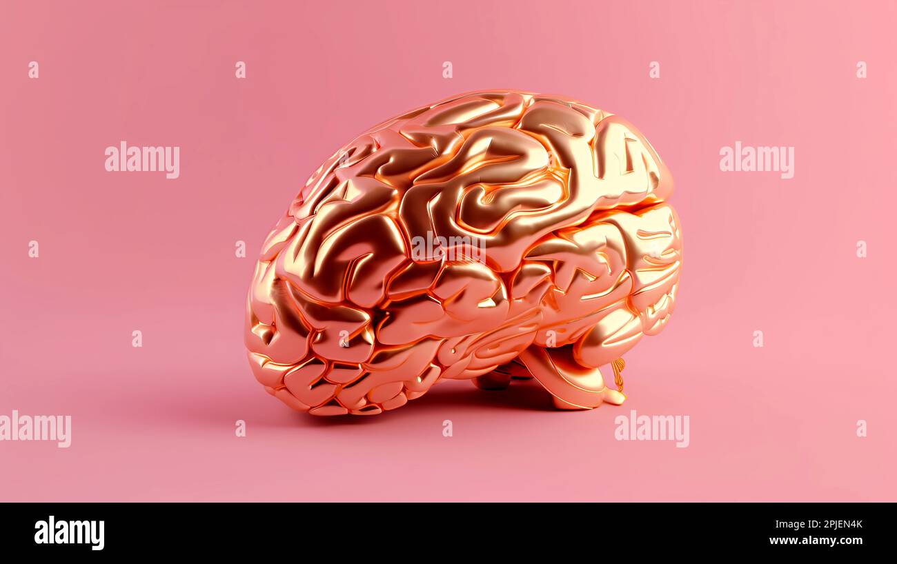Anatomical model of the human brain. Minimal golden brain on a pastel
