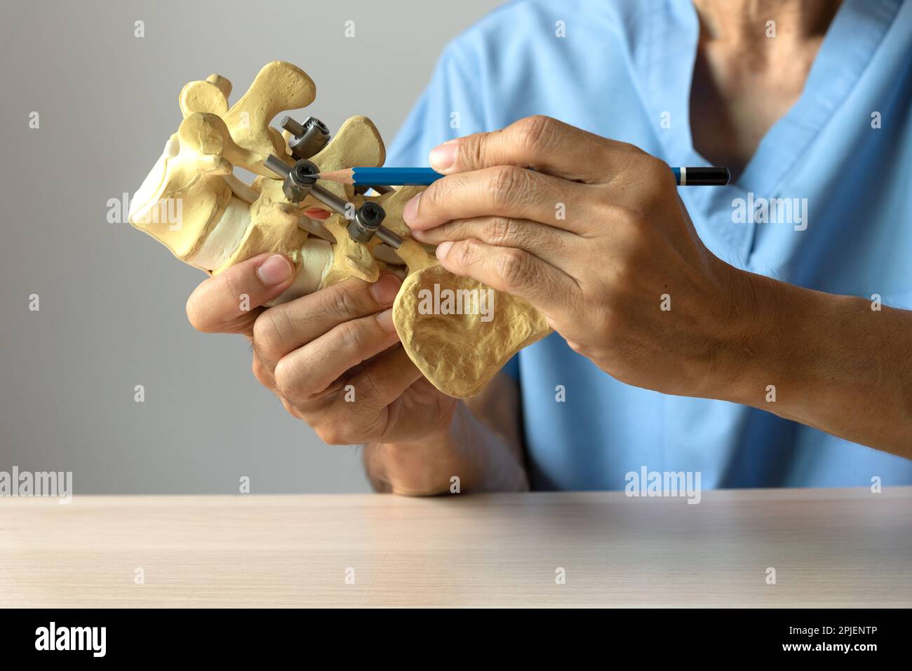 Anatomy of lumbar spine hi-res stock photography and images - Alamy
