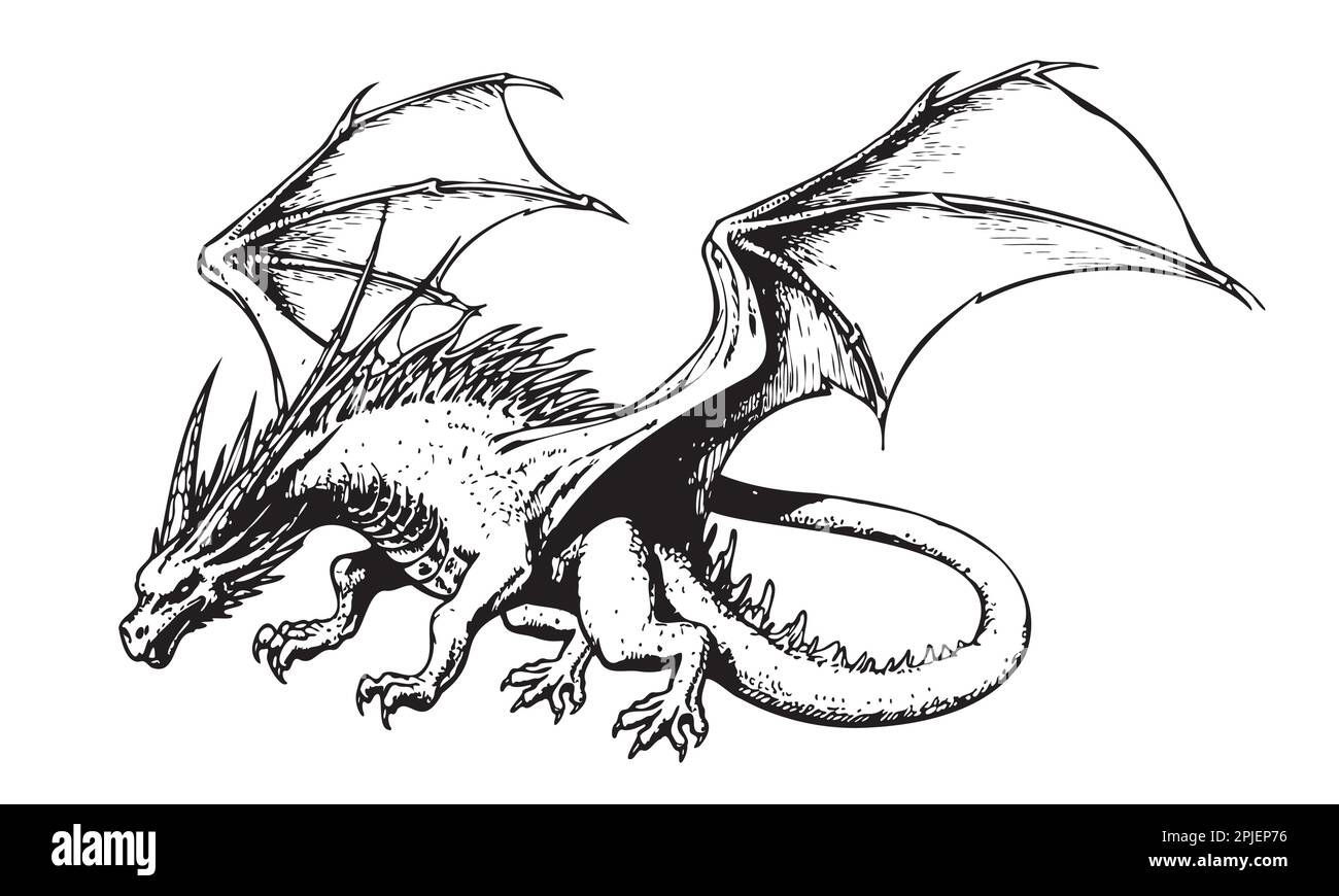 Dragon flying sketch illustration Myths and legends Stock Vector