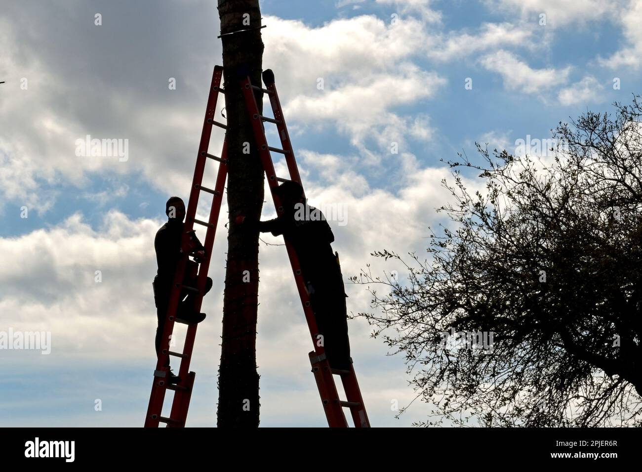 Galveston, Texas, USA - February 2023: Silhouette of telephone engineers working up ladders Stock Photo