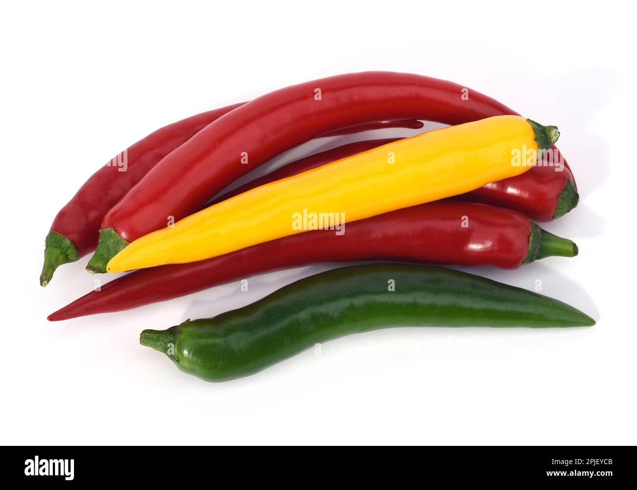 Chili Peperoni ist eine scharfe Kraeuterpflanze und wird in der Kueche zum wuerzen verwendet Chili Peperoni ist eine scharfe Kraeuterpflanze und wird in der Kueche zum wuerzen verwendet