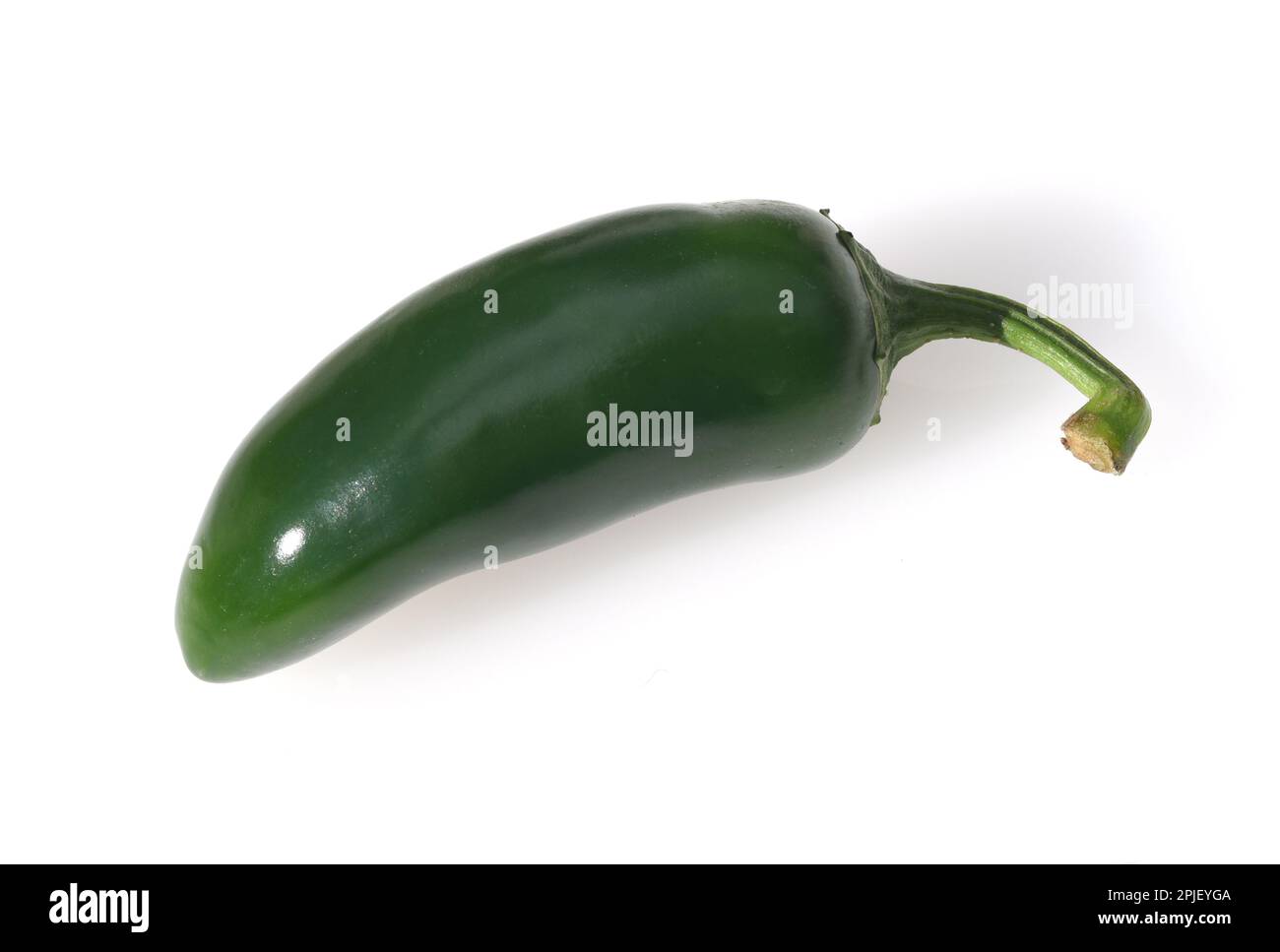 Jalapeño, Peperoni Capsicum Annuum ist eine sehr scharfe ...