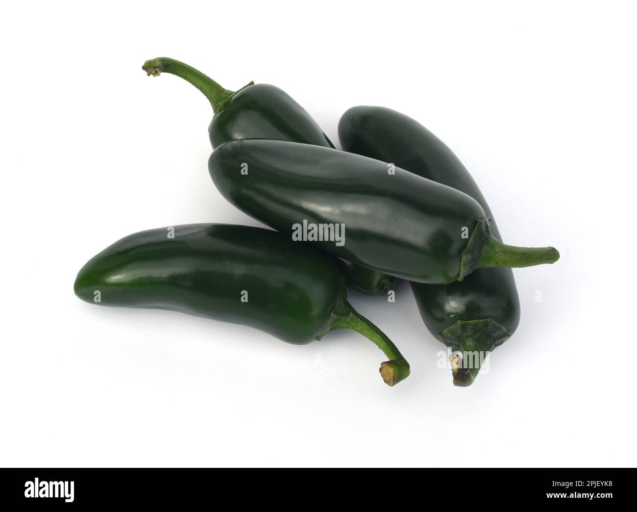 Jalapeño, Peperoni Capsicum Annuum ist eine sehr scharfe ...