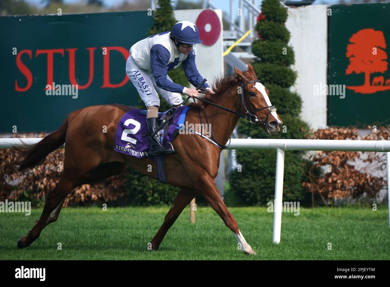 Curvature ridden by jockey Shane Foley wins the Flat is Back at ...