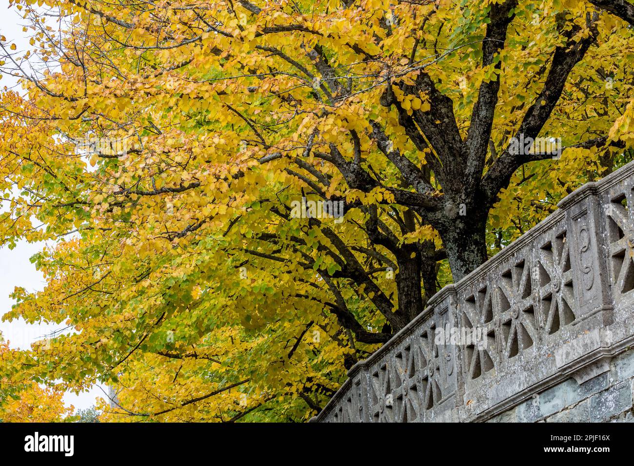 Fall Perspective The
