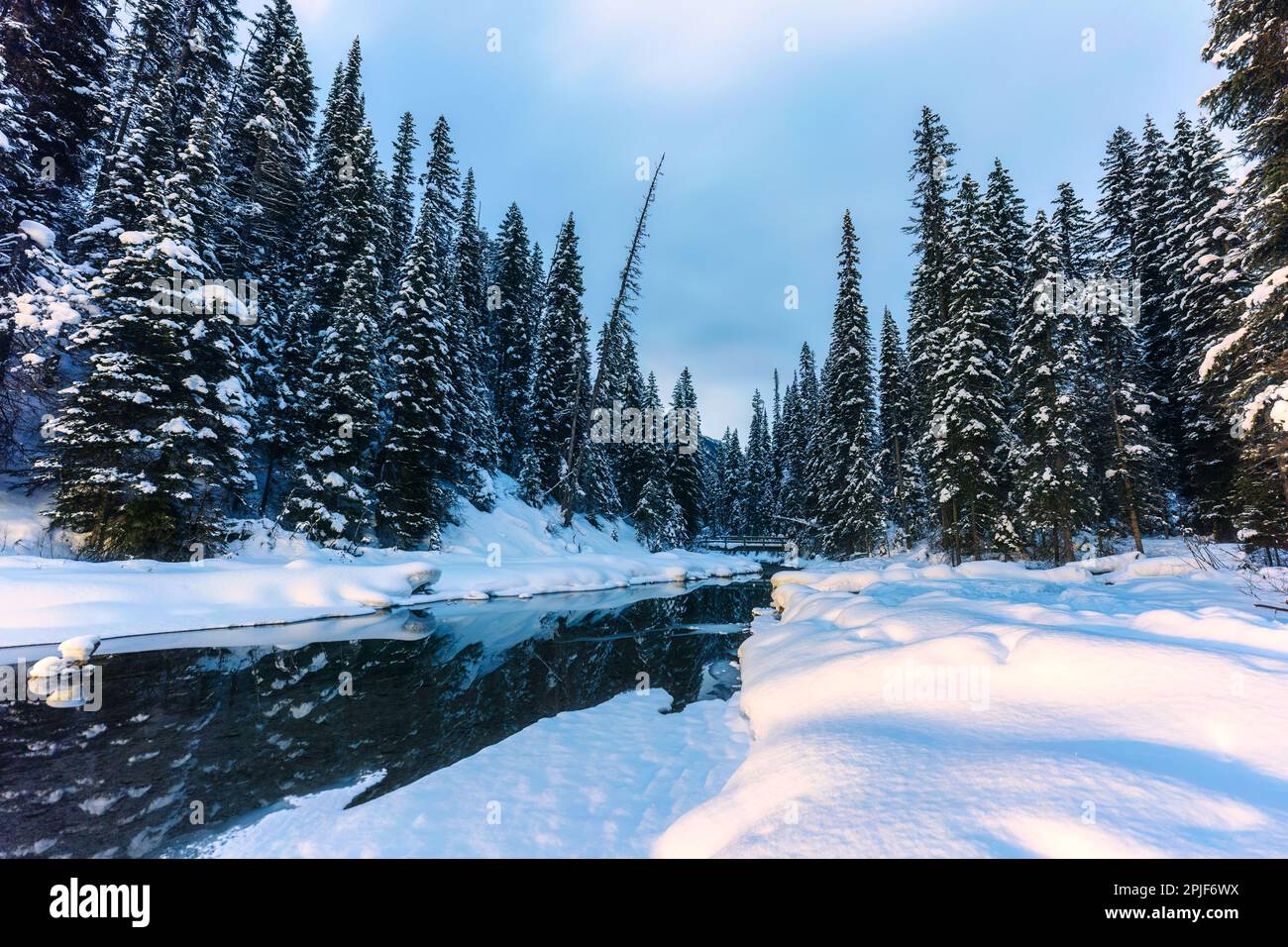 Forest winter landscape lakeside hi-res stock photography and