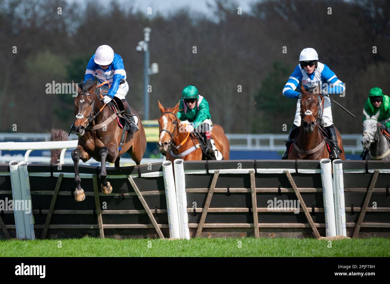 Ascot, UK. 02nd Apr, 2023. Blueking D'Oroux and jockey Angus Cheleda win the Royal Ascot Racing Club Juvenile Handicap Hurdle for trainer Paul Nicholls and owner Mrs Johnny De La Hey. Credit: JTW Equine Images/Alamy Live News Stock Photo