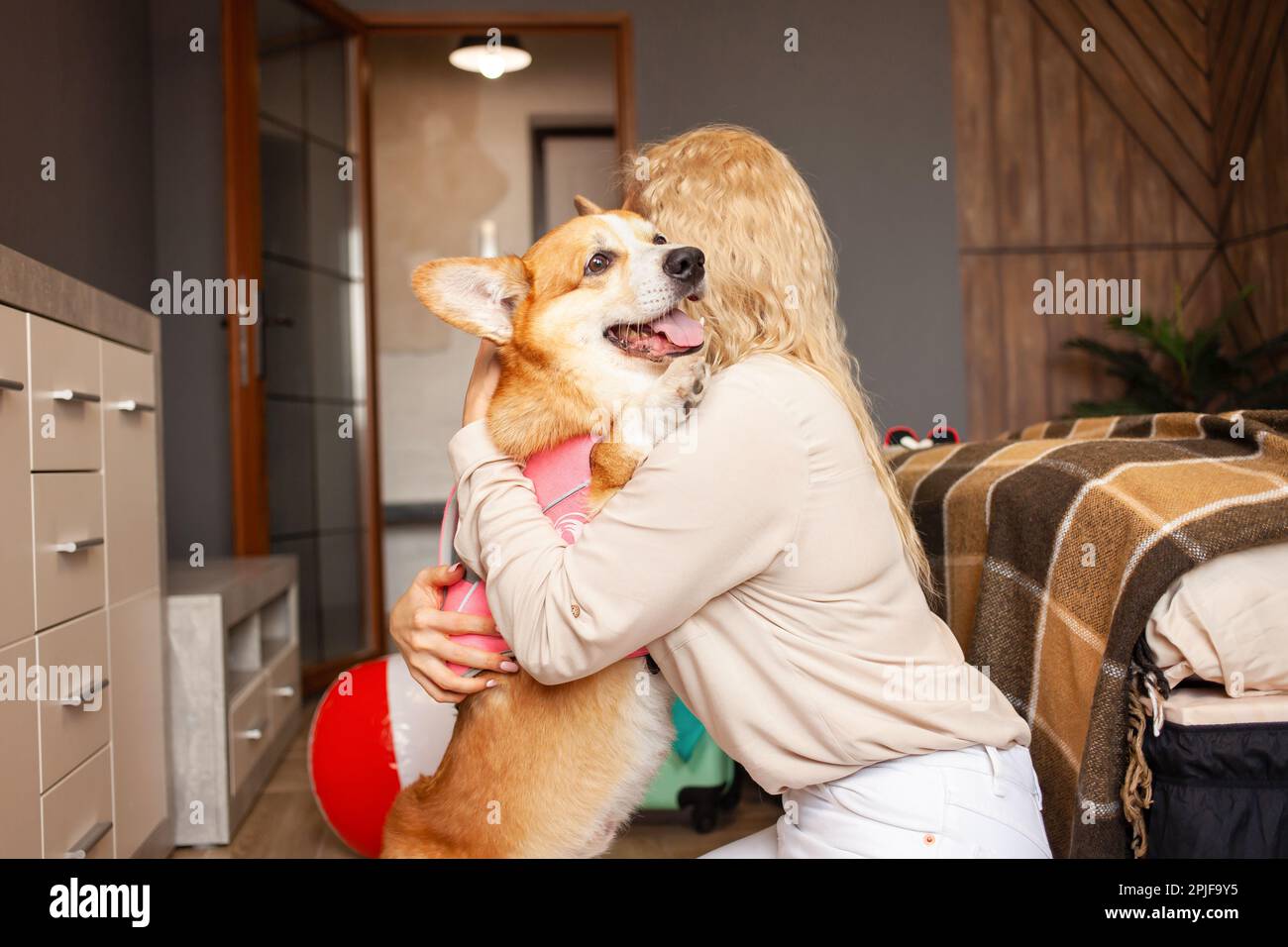 woman loves corgi dog, prepares for trip, summer vacation, inflatable ...