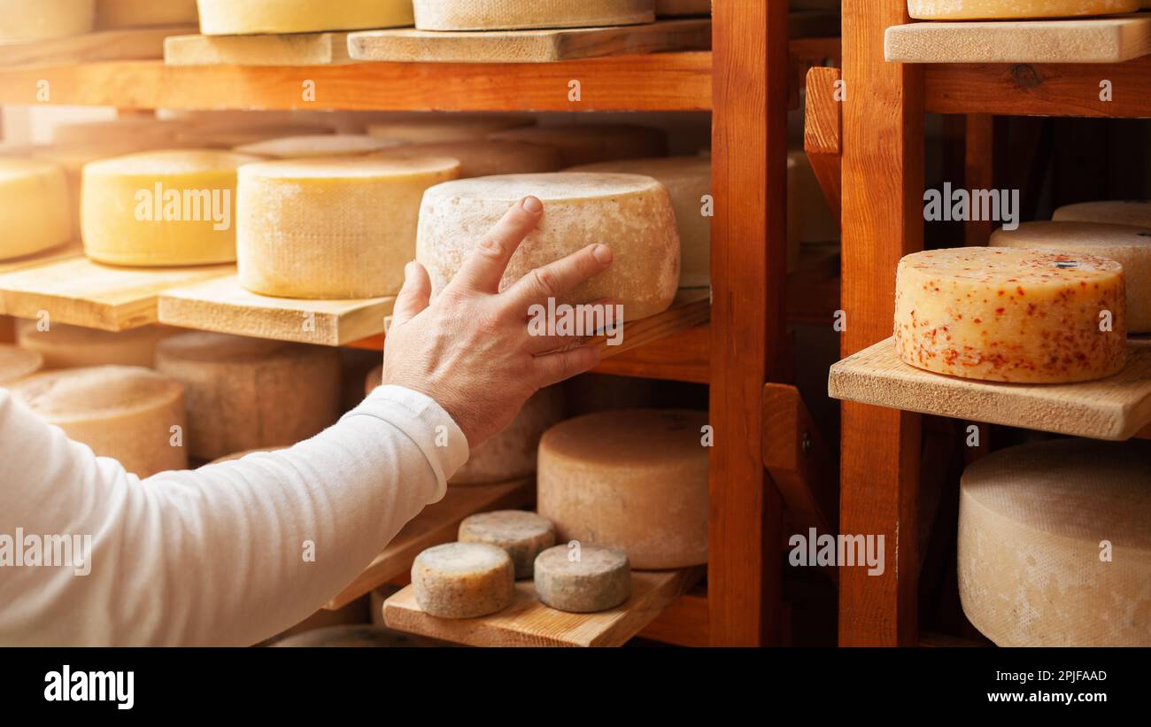 male, man cheese maker businessman, individual entrepreneur, checks