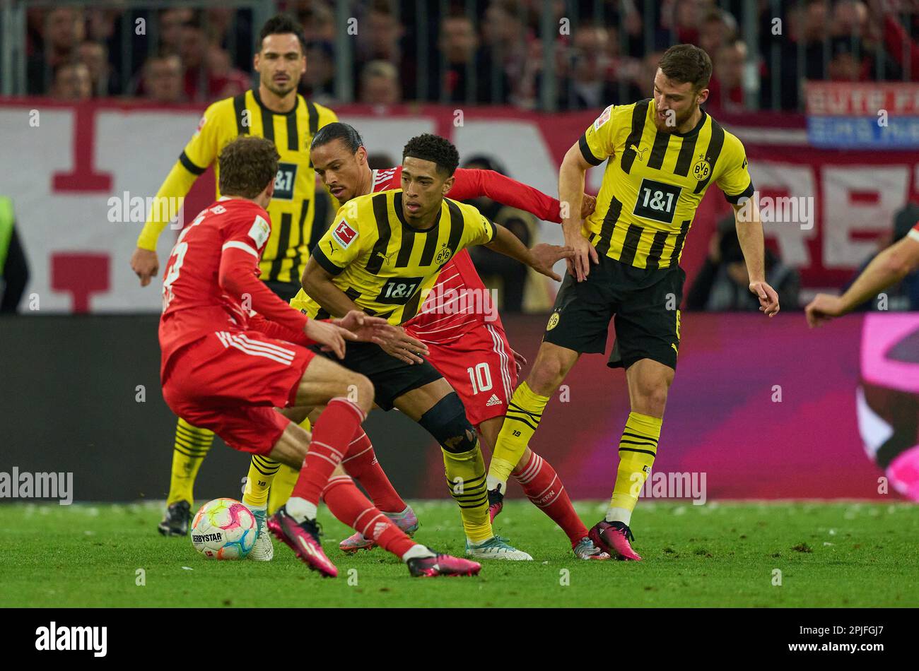 Munich, Germany. Apr 01, 2023 Jude Bellingham , Nr. 22 BVB   Salih Özcan, BVB 6 Mats Hummels, BVB 15 compete for the ball, tackling, duel, header, zweikampf, action, fight against Leroy SANE, FCB 10 Thomas MUELLER, MÜLLER, FCB 25  in the match FC BAYERN MUENCHEN - BORUSSIA DORTMUND 4-2 1.German Football League on Apr 01, 2023 in Munich, Germany. Season 2022/2023, matchday 26, 1.Bundesliga, FCB, BVB, München, 26.Spieltag. © Peter Schatz / Alamy Live News    - DFL REGULATIONS PROHIBIT ANY USE OF PHOTOGRAPHS as IMAGE SEQUENCES and/or QUASI-VIDEO - Stock Photo