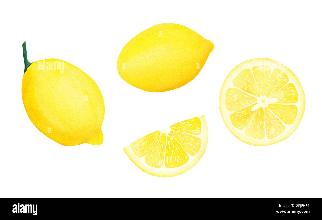 Watercolor botanical set of illlustration of lemon fruits on white background.Illustration for design, greeting cards, invitation, print, textures. Stock Photo