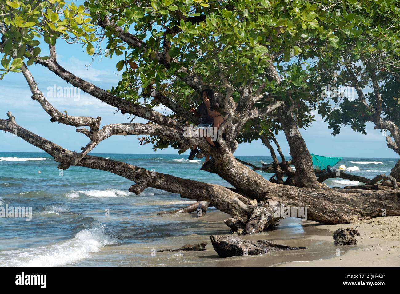 scenic  beach of Cocles on the Caribbean side of Costa Rica, Puerto Viejo de Talamanca Stock Photo
