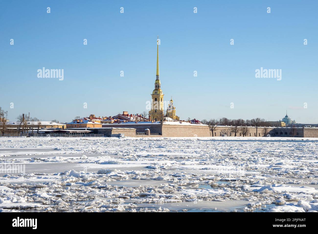 Cathedral of the Peter and Paul Fortress in early spring. Saint Petersburg Stock Photo