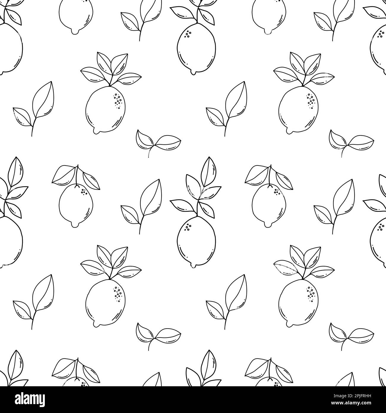 Black outline doodle lemons and leaves seamless pattern Stock Vector ...