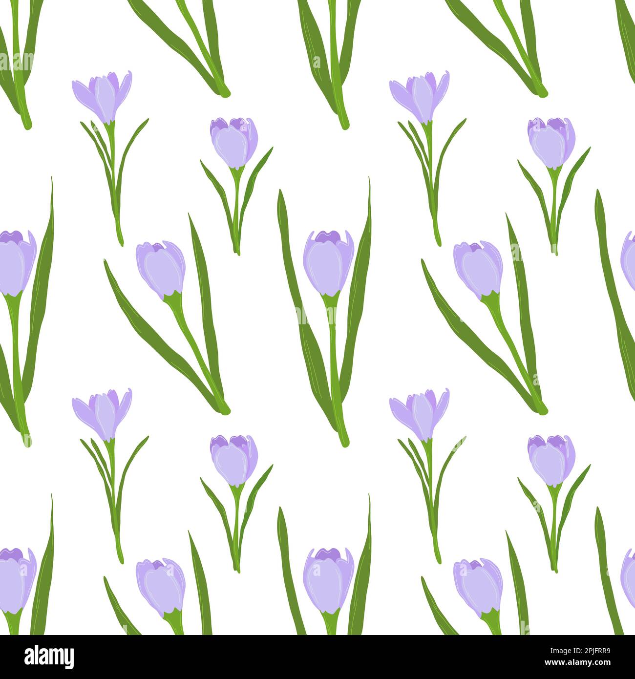 Crocus purple flowers seamless pattern on white  Stock Vector