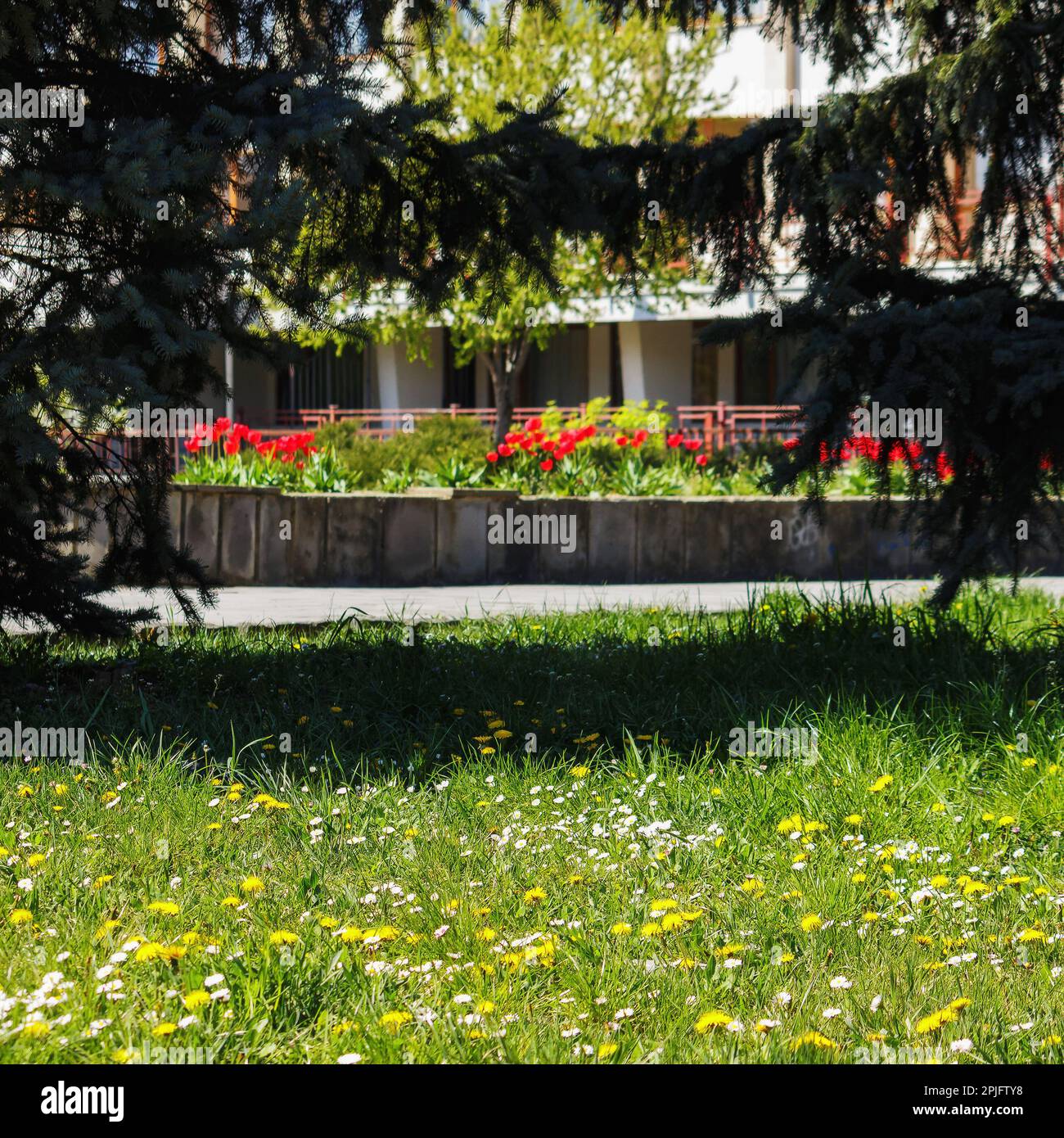 Weeds in a country garden hi-res stock photography and images - Alamy