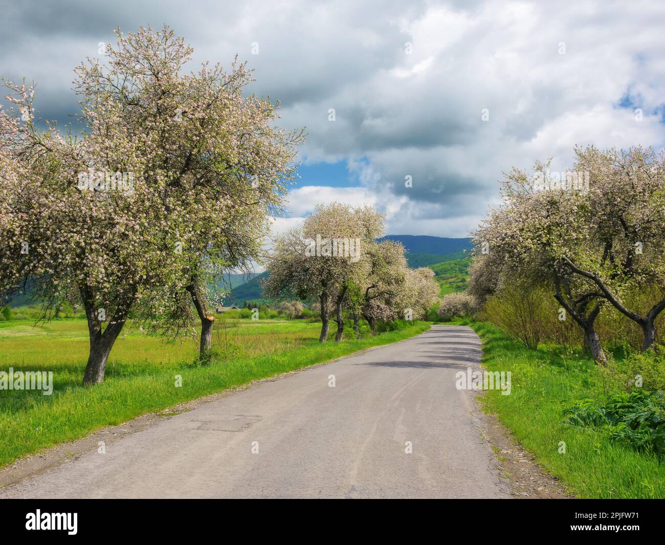 beauty of spring is captured in the scenic backdrop of the countryside ...