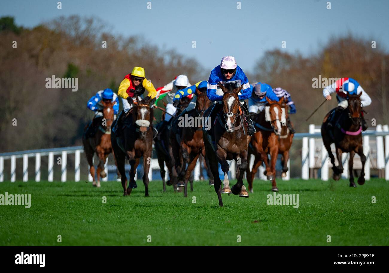 Ivaldi and Harry Cobden take the Ascot Shop Handicap Hurdle for trainer