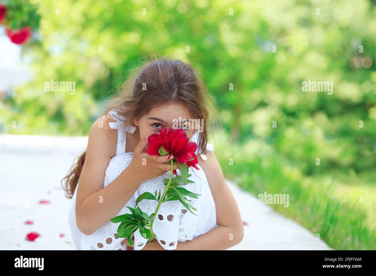 Little cute girl with peony flowers. Child wearing white dress playing in a summer garden. Kids gardening. Children play outdoors. Toddler kid with fl Stock Photo
