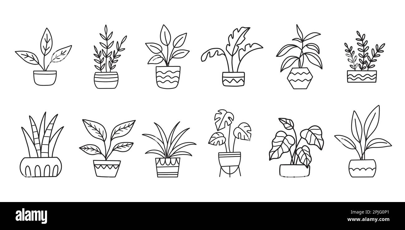 Potted Houseplants In Pots House Plants Set Stock Vector Image Art potted-houseplants-in-pots-house-plants-set-stock-vector-image-art
