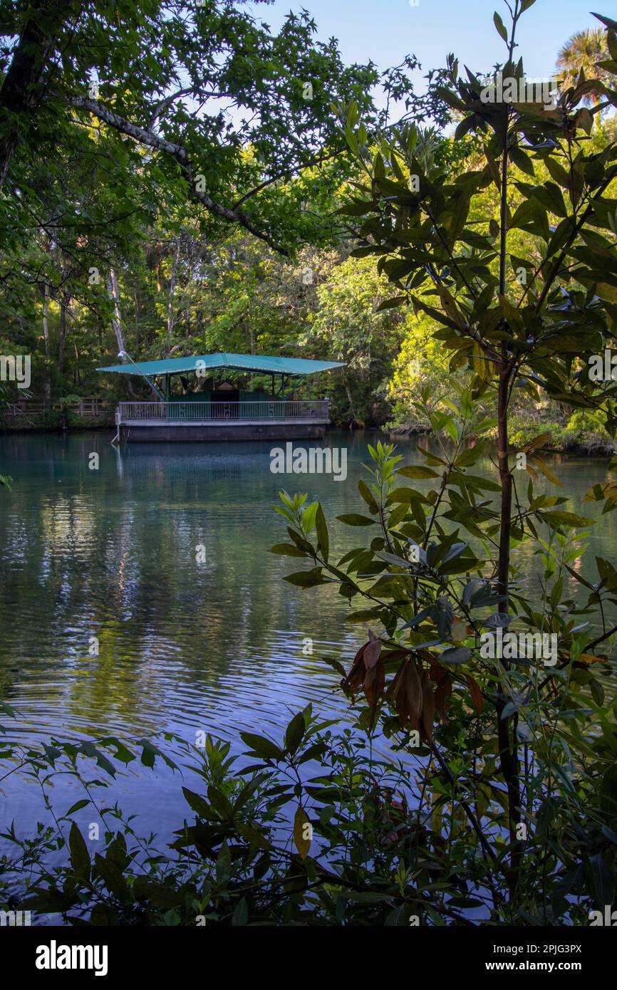 The underwater observatory at Ellie Schiller Homosassa Springs Wildlife State Park, FL Stock Photo