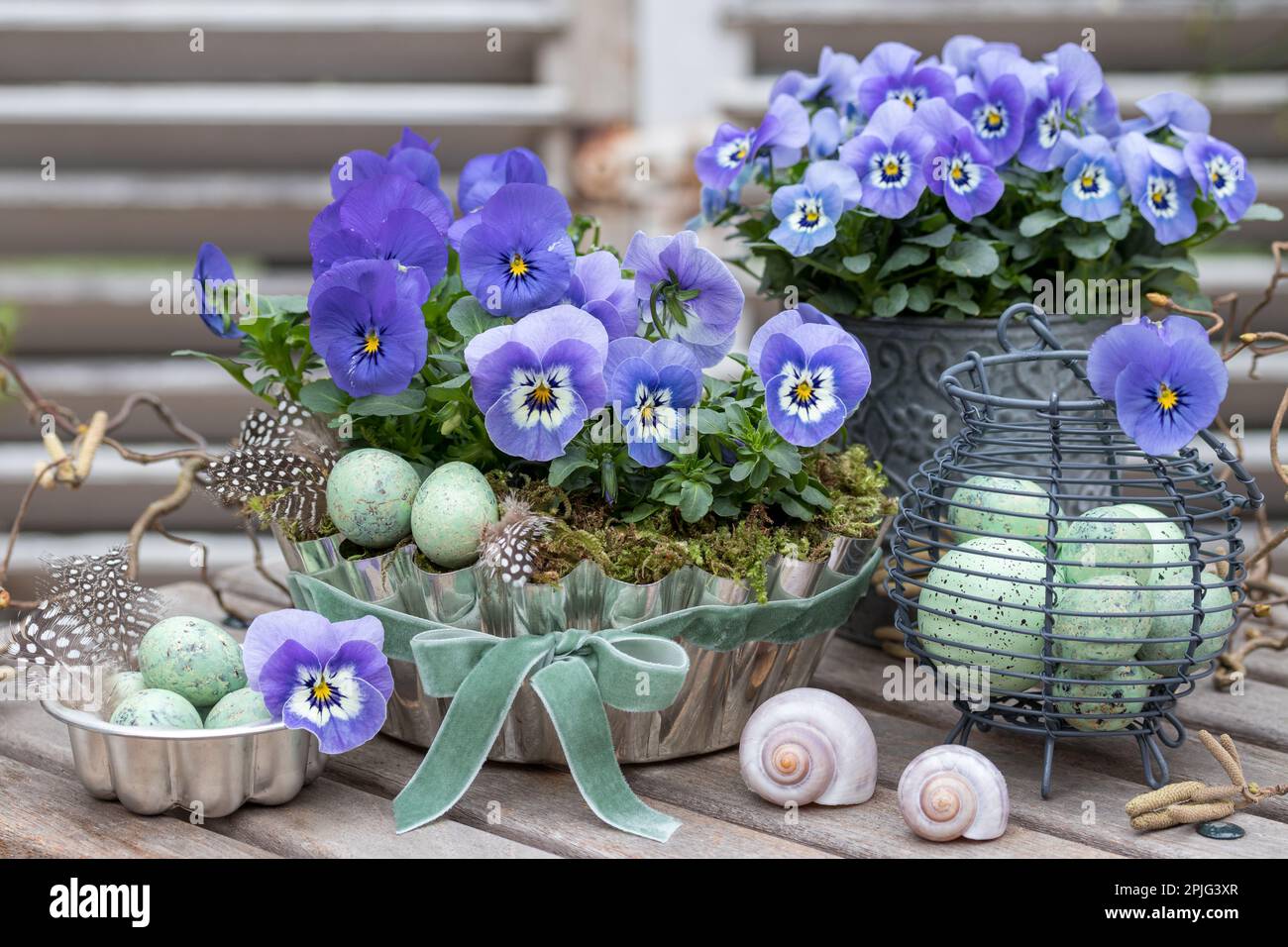 spring garden arrangement with blue viola flowers and easter eggs Stock Photo