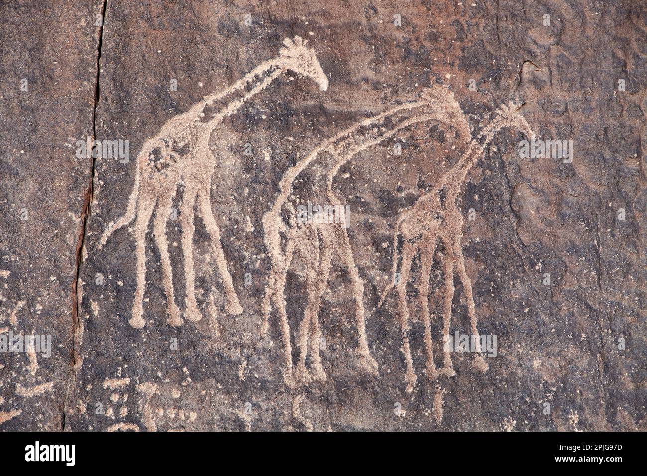 Ancient rock engraving in Sahara Desert, Tadrart, Algeria Stock Photo