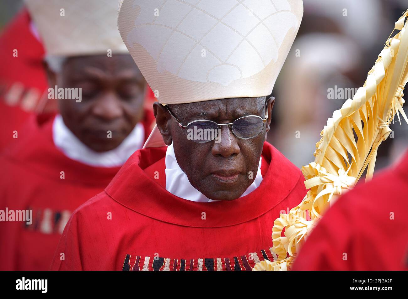 Cardinal Robert Sarah .Pope Francis celebrates the Palm Sunday mass in