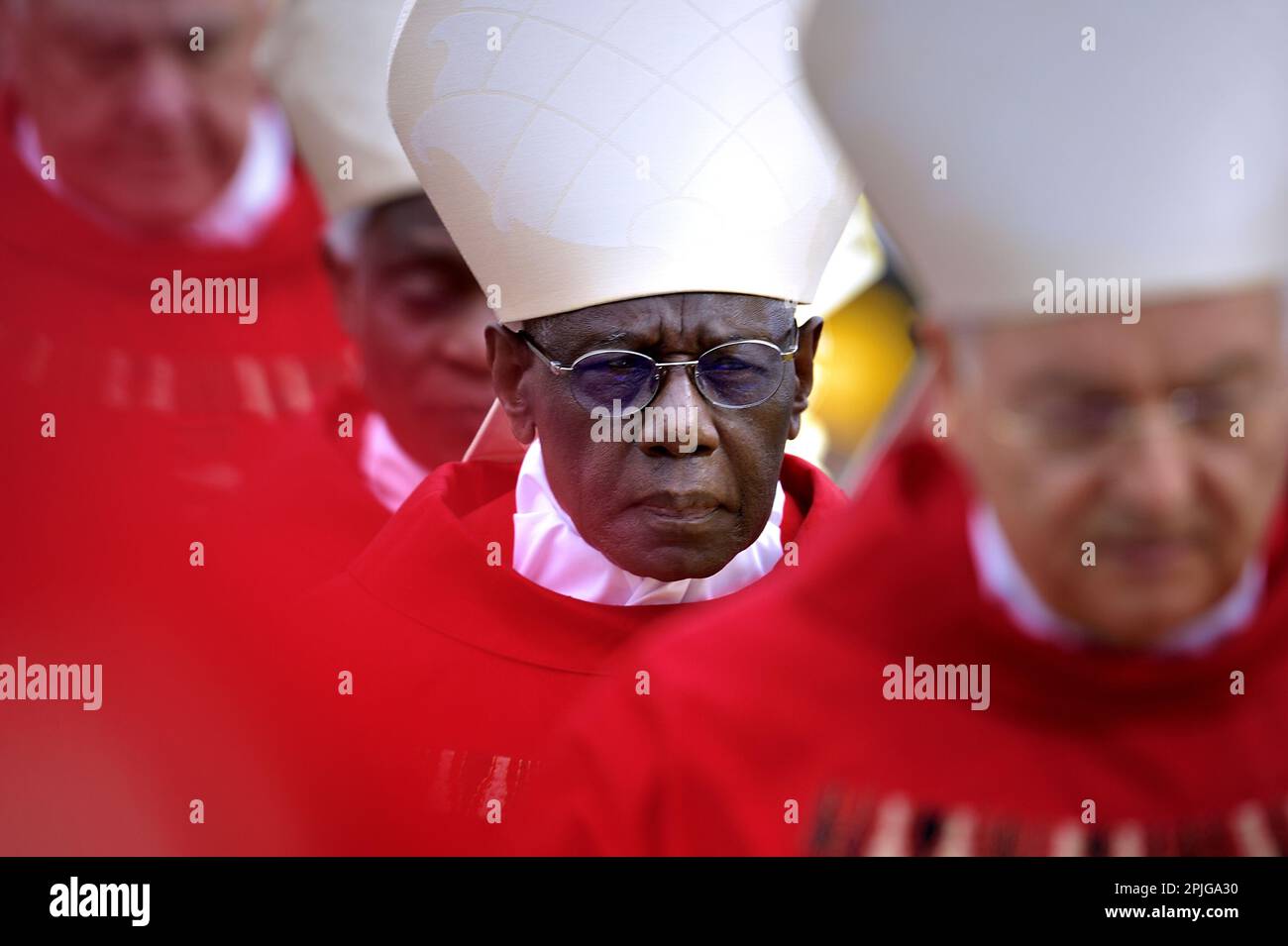Cardinal Robert Sarah .Pope Francis celebrates the Palm Sunday mass in
