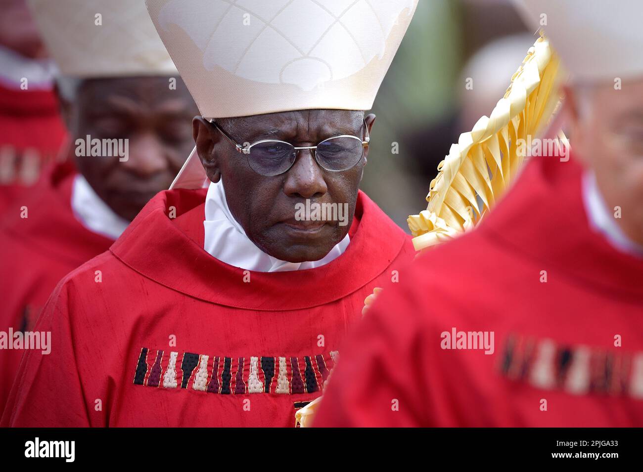 Cardinal Robert Sarah .Pope Francis celebrates the Palm Sunday mass in