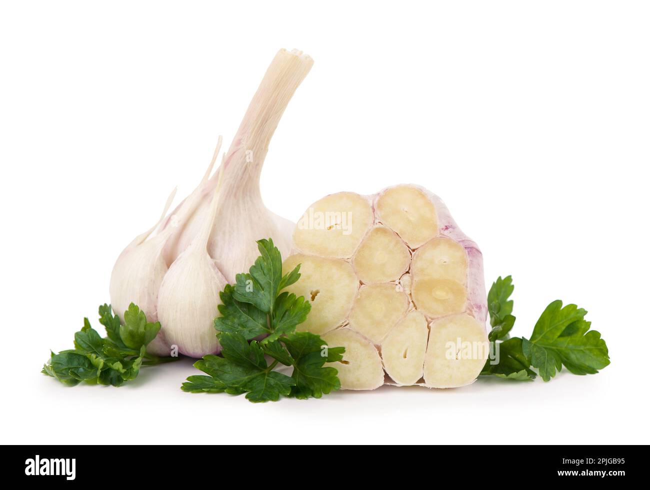 cut garlic on white background Head of young garlic with garlic cloves