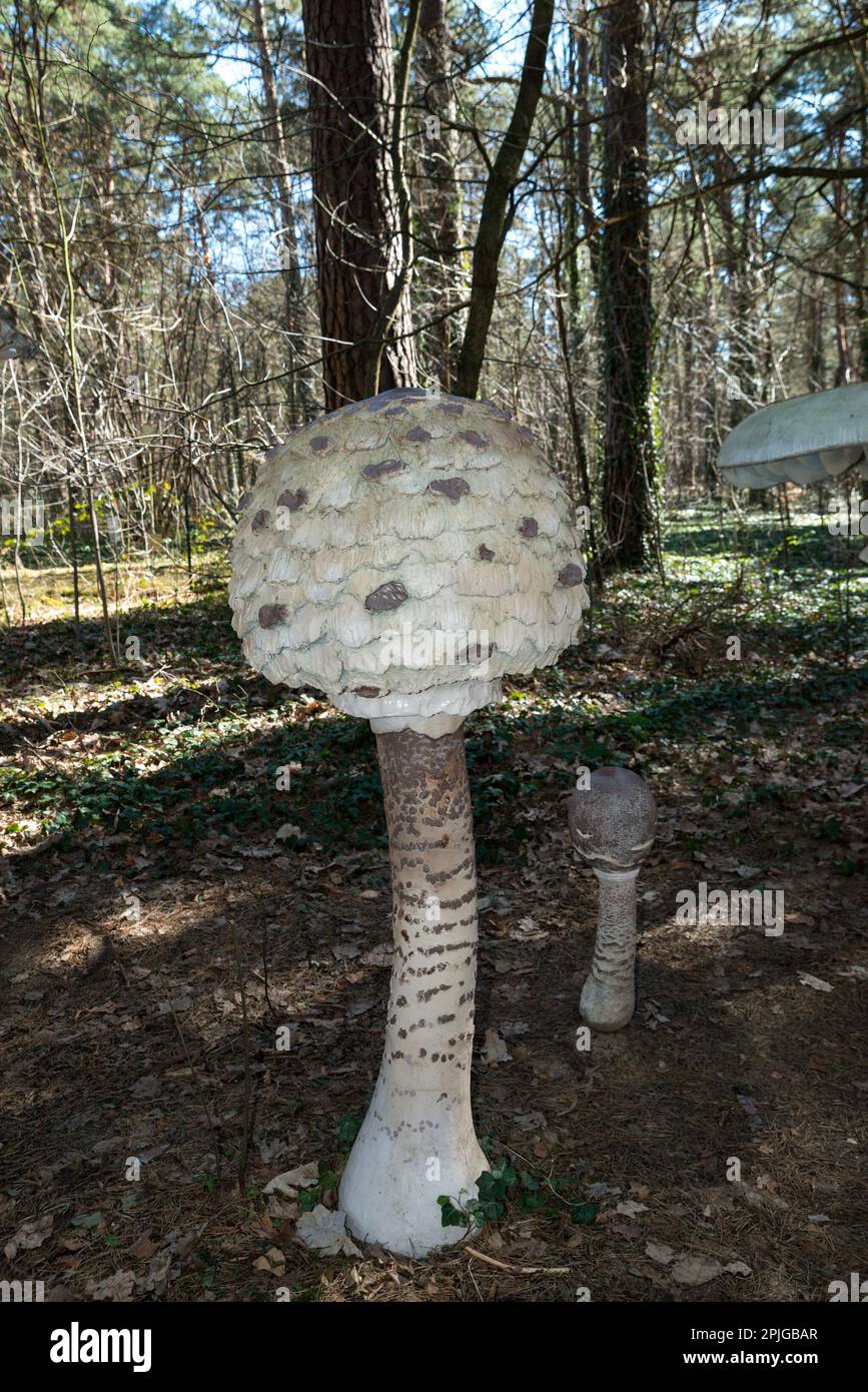 Giant mushroom sculpture hires stock photography and images Alamy