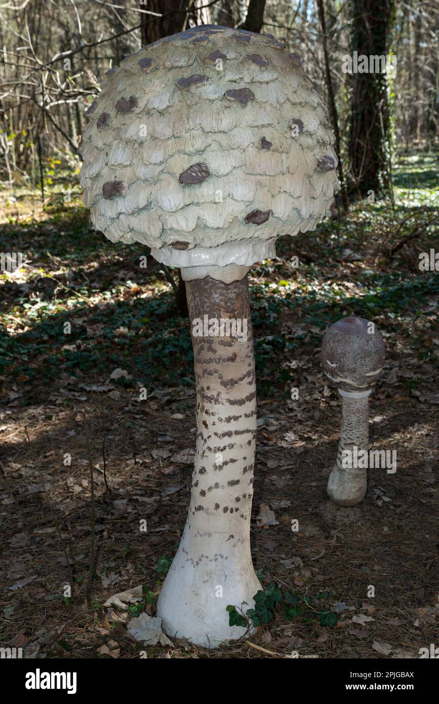 Giant mushroom sculpture hires stock photography and images Alamy