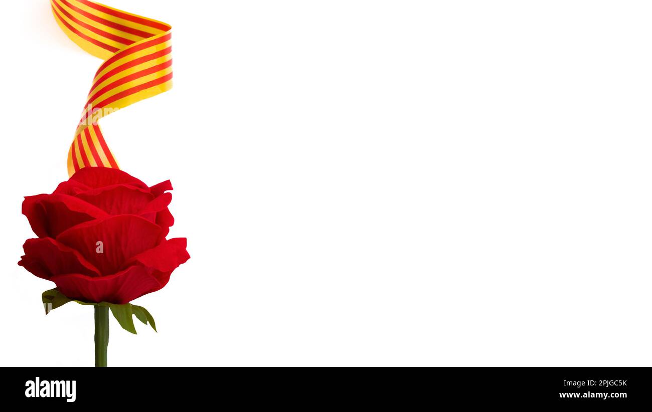 Curly Catalan flag for Sant Jordi celebration on white background and ...