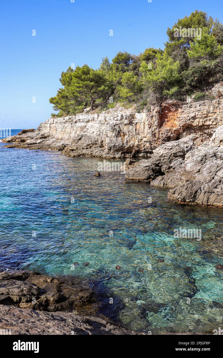 Hidden Rocky Beach with Turquoise Water in Croatia. Scenic Adriatic Sea with Stones and Trees in Pula during Summer Sunny Day. Stock Photo