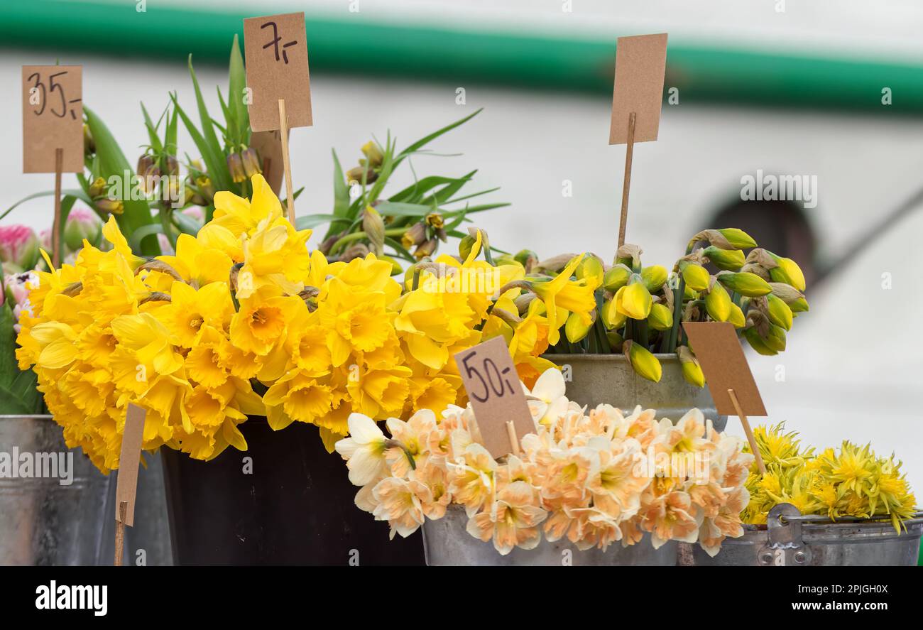 Yellow Narcissus blossoms with other flowers in a florist stand at the Prague farmers market Naplavka. Selective focus, no people. Stock Photo