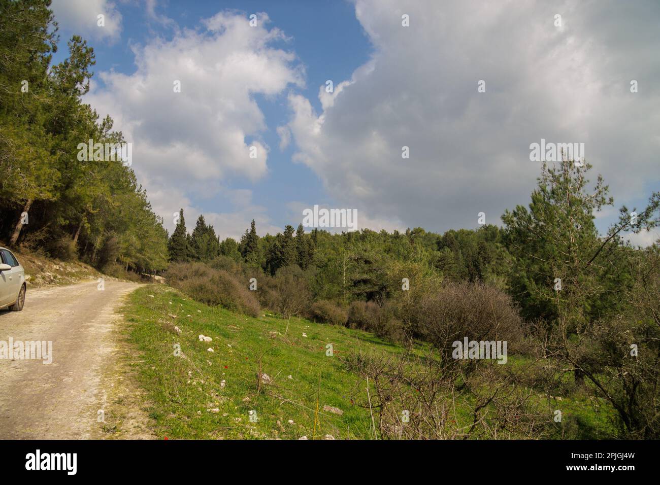an empty road in the forest Stock Photo - Alamy