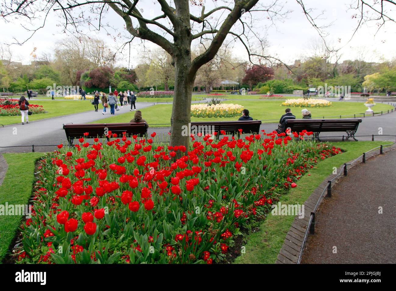 Merrion Square Park, Dublin, is a relaxing 18th century park in near Trinity College Dublin graces its beautiful landscaping and colorful tulips. Stock Photo