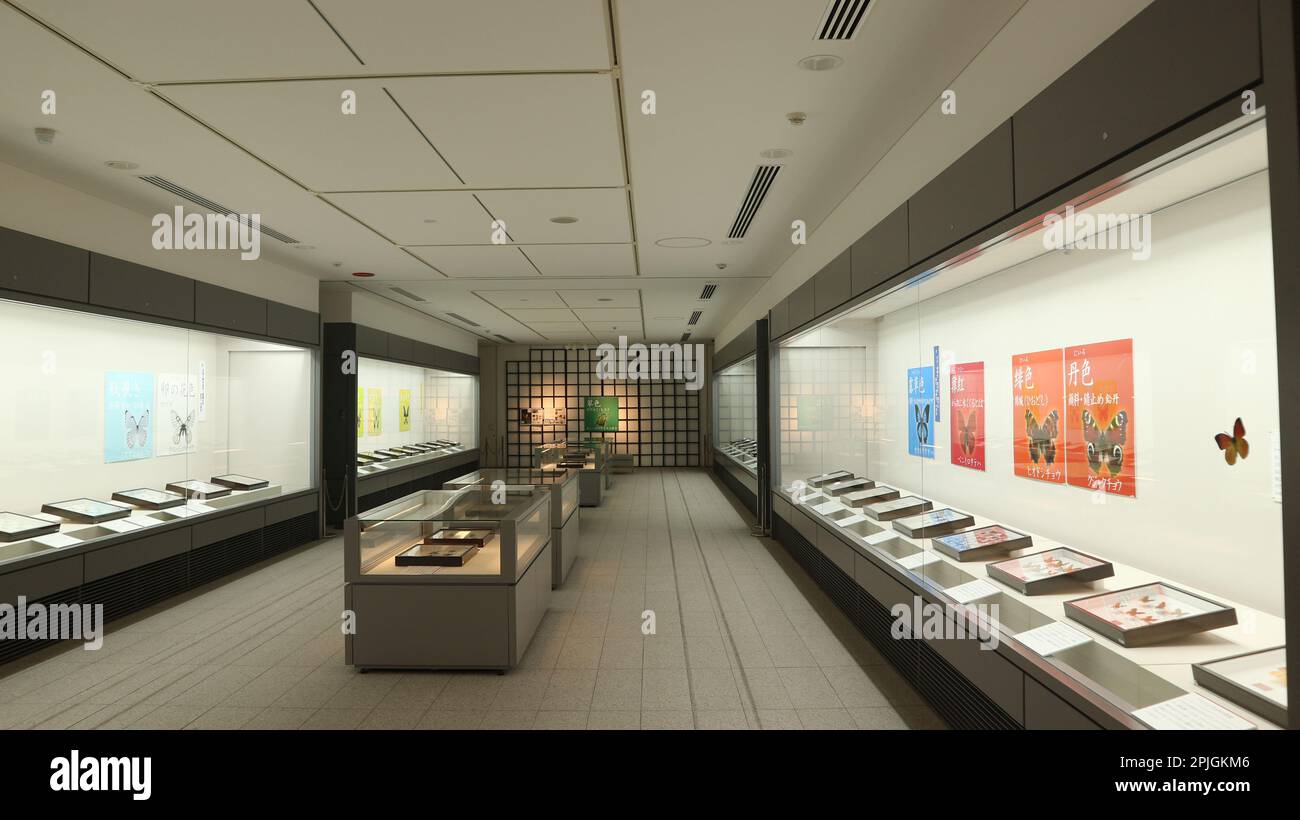 Osaka Prefectural Sayamaike Museum by Tadao Ando Water and