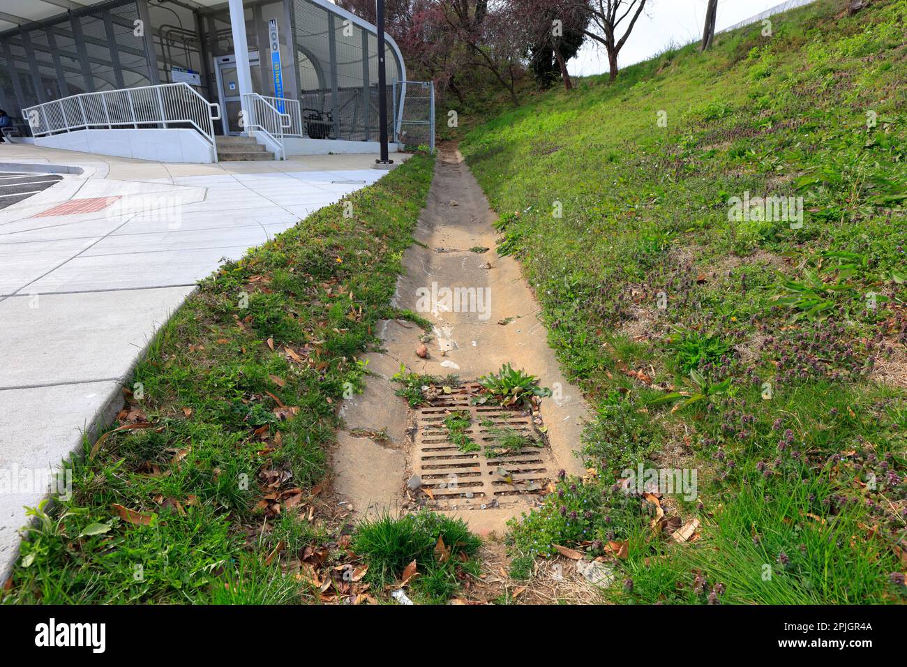 A concrete drainage ditch leading to a clogged catch basin. Catch basin collects surface water runoff. Stock Photo