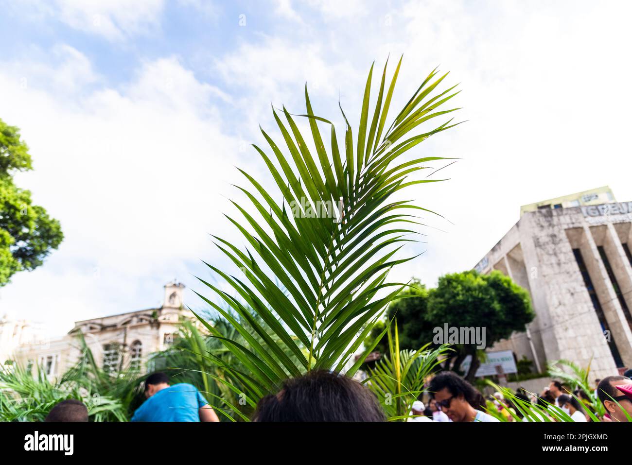Salvador, Bahia, Brazil Abril 02, 2023 Catholic worshipers hold palm