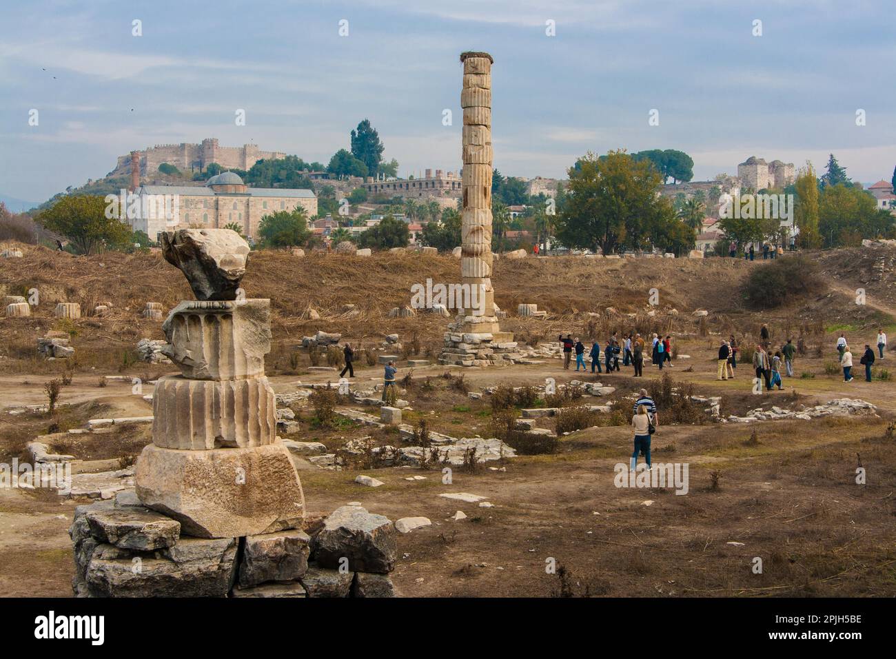 Temple of Artemis, Artemision of Ephesus, Ephesus, Turkey Stock Photo