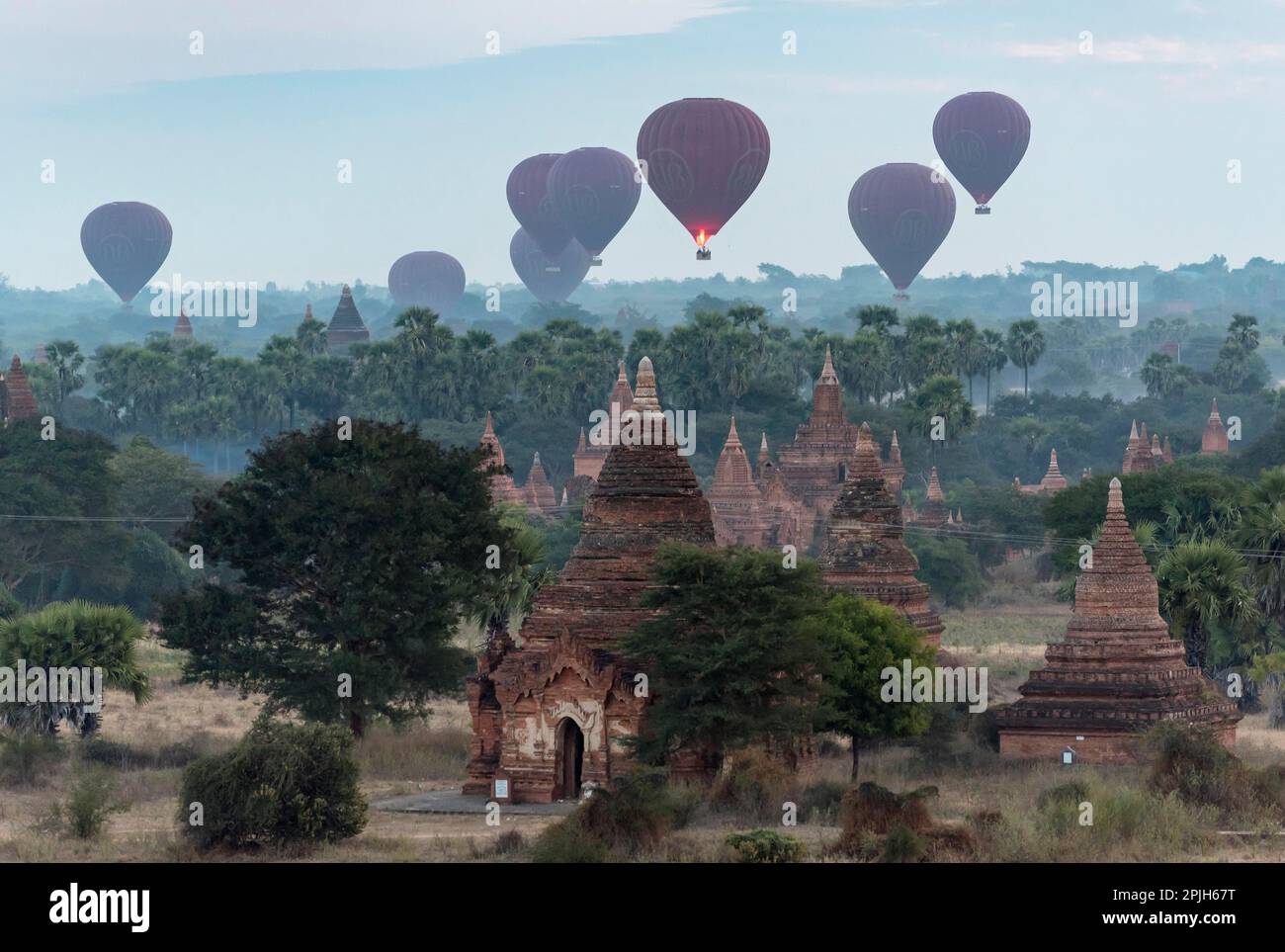 Hot air balloons over the temples of Bagan, seen from Buledi Pagoda, Burma, Myanmar Stock Photo